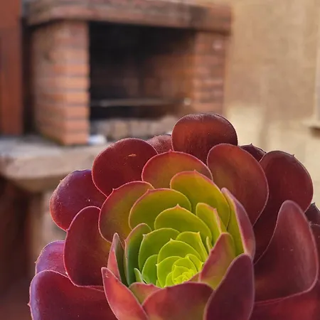 Casa Africa Y Ramona 아파트