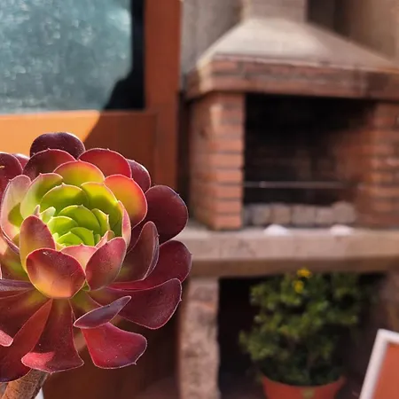 Casa Africa Y Ramona *